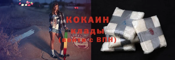 хмурый Алексин