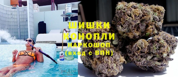 хмурый Алексин