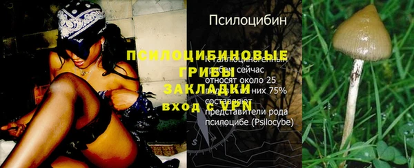 ПСИЛОЦИБИНОВЫЕ ГРИБЫ Алексеевка