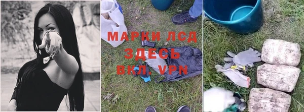 хмурый Алексин