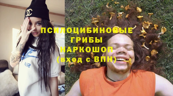 хмурый Алексин