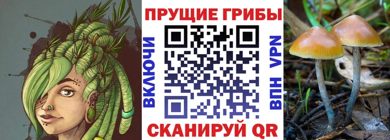 закладка  Пермь  Галлюциногенные грибы Magic Shrooms 
